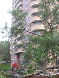 ул.Комсомольская, 25б. 01/09/2012
